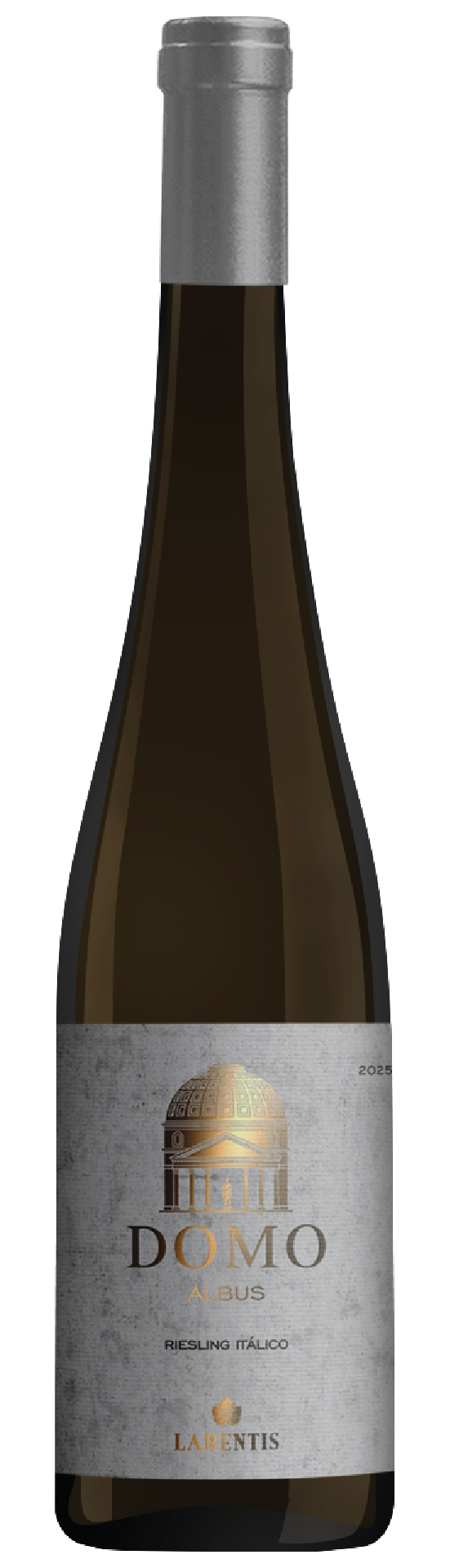 Domo Albus  2025